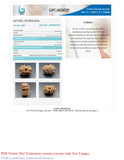 Natural 12 Mukhi Rudraksha (Nepali)