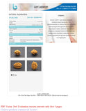Natural 2 Mukhi Rudraksha (  Indian )