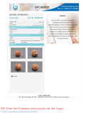 Natural 4 Mukhi Rudraksha (Nepali)