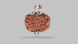 Natural 8 Mukhi Rudraksha (Nepali)