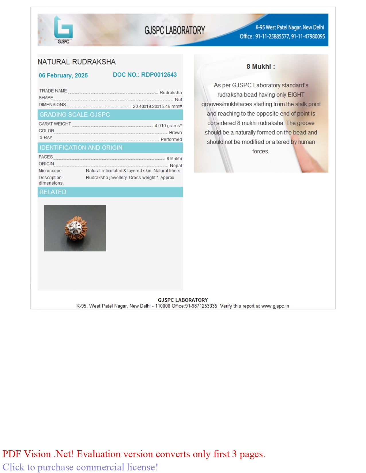 Natural 8 Mukhi Rudraksha (Nepali)