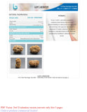 Natural 16 Mukhi Rudraksha (Nepali)