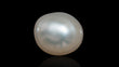 Natural Venezuela Pearl 7.00 Carats