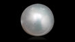 Natural South Sea Pearl 7.59 Carats