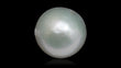 Natural South Sea Pearl 7.46 Carats