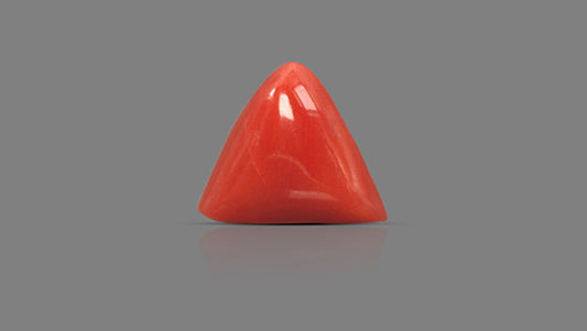 Natural Italian Red Coral (Moonga) 7.78 Carats