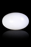 Natural Australian White Coral 6.36 Carats