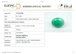 Natural Zambian Emerald ( Panna ) 8.29 Carats
