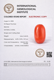 Natural Red Coral ( Italian Moonga ) 8.36  Carat