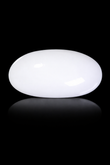 Natural Australian  White Coral 6.02 Carats