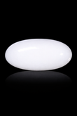 Natural Australian White Coral 6.43 Carats