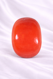 Natural Red Coral ( Italian Moonga ) 8.36  Carat