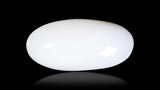 Natural Australian  White Coral 6.09 Carats