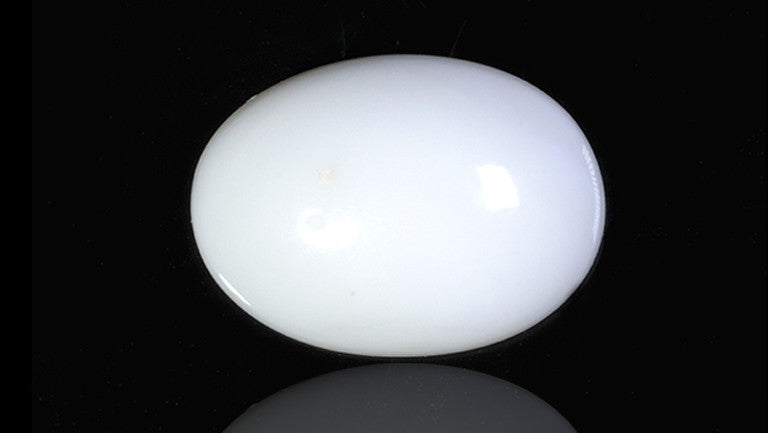 Natural Australian White Coral 6.36 Carats