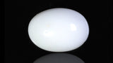 Natural Australian White Coral 6.36 Carats