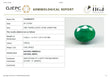 Natural Zambian Emerald ( Panna ) 5.59 Carats