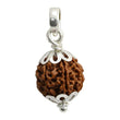 Natural 7 Mukhi Rudraksha (Nepali)