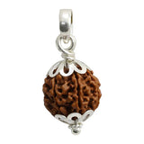 Natural 7 Mukhi Rudraksha (Nepali)