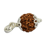 Natural 7 Mukhi Rudraksha (Nepali)