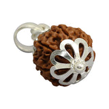 Natural 7 Mukhi Rudraksha (Nepali)