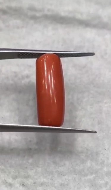 Natural Red Coral (Italian Moonga ) 7.86 carats