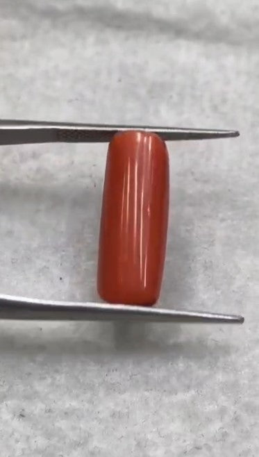 Natural Red Coral (Italian Moonga ) 7.86 carats
