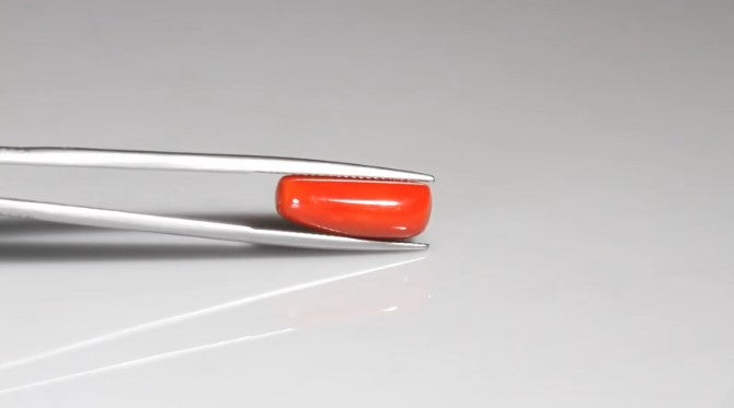 Natural Red Coral (Italian Moonga ) 8.07 carats