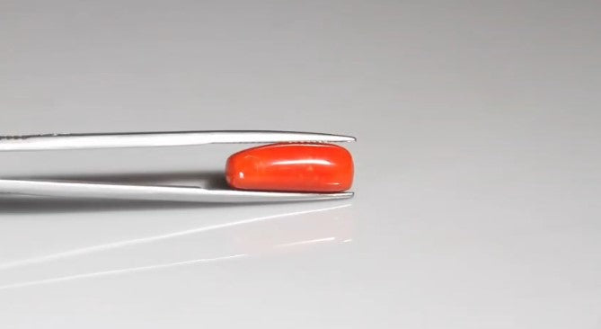 Natural Red Coral (Italian Moonga ) 8.07 carats