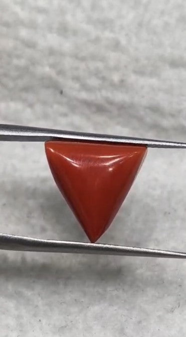 Natural Italian Red Coral (Moonga) 7.56 carats
