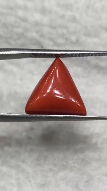 Natural Italian Red Coral (Moonga) 7.56 carats
