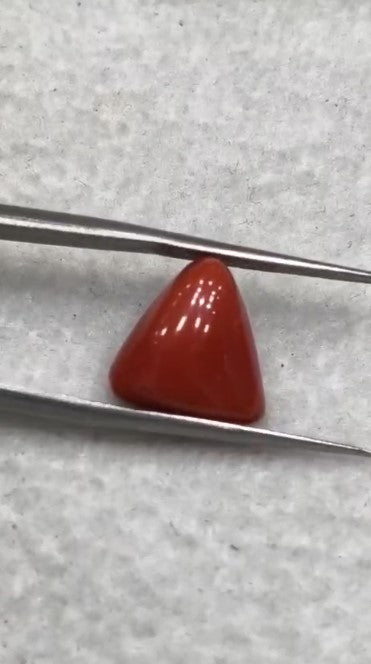 Natural Italian Red Coral (Moonga) 8.00 carats
