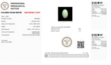 Natural Australian  White Opal 6.09 Carats