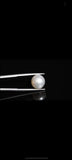 Natural South Sea Pearl 8.19 Carat