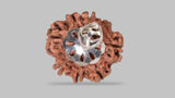 Natural 8 Mukhi Rudraksha (Nepali)