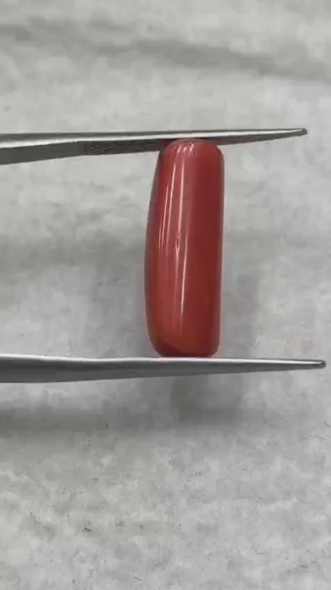 Natural Red Coral (Italian Moonga ) 7.86 carats