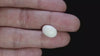 Natural Australian White Coral 6.36 Carats