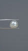 Natural Venezuela Pearl 7.05 Carats