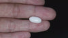 Natural Australian White Coral 6.43 Carats