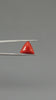 Natural Italian Red Coral (Moonga) 7.78 Carats