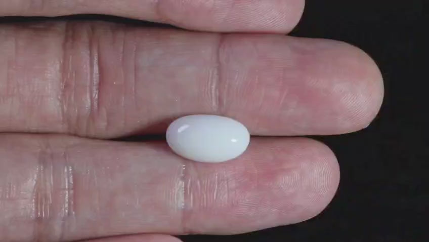 Natural Australian White Coral 5.01 Carats