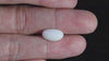 Natural Australian White Coral 5.01 Carats