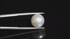Natural South Sea Pearl 8.19 Carat