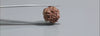 Natural 3 Mukhi Rudraksha (Nepali)