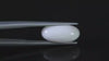 Natural Australian White Coral 5.01 Carats