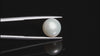 Natural South Sea Pearl 7.46 Carats