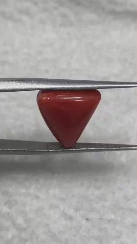Natural Italian Red Coral (Moonga) 8.00 carats