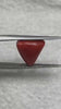 Natural Italian Red Coral (Moonga) 8.00 carats