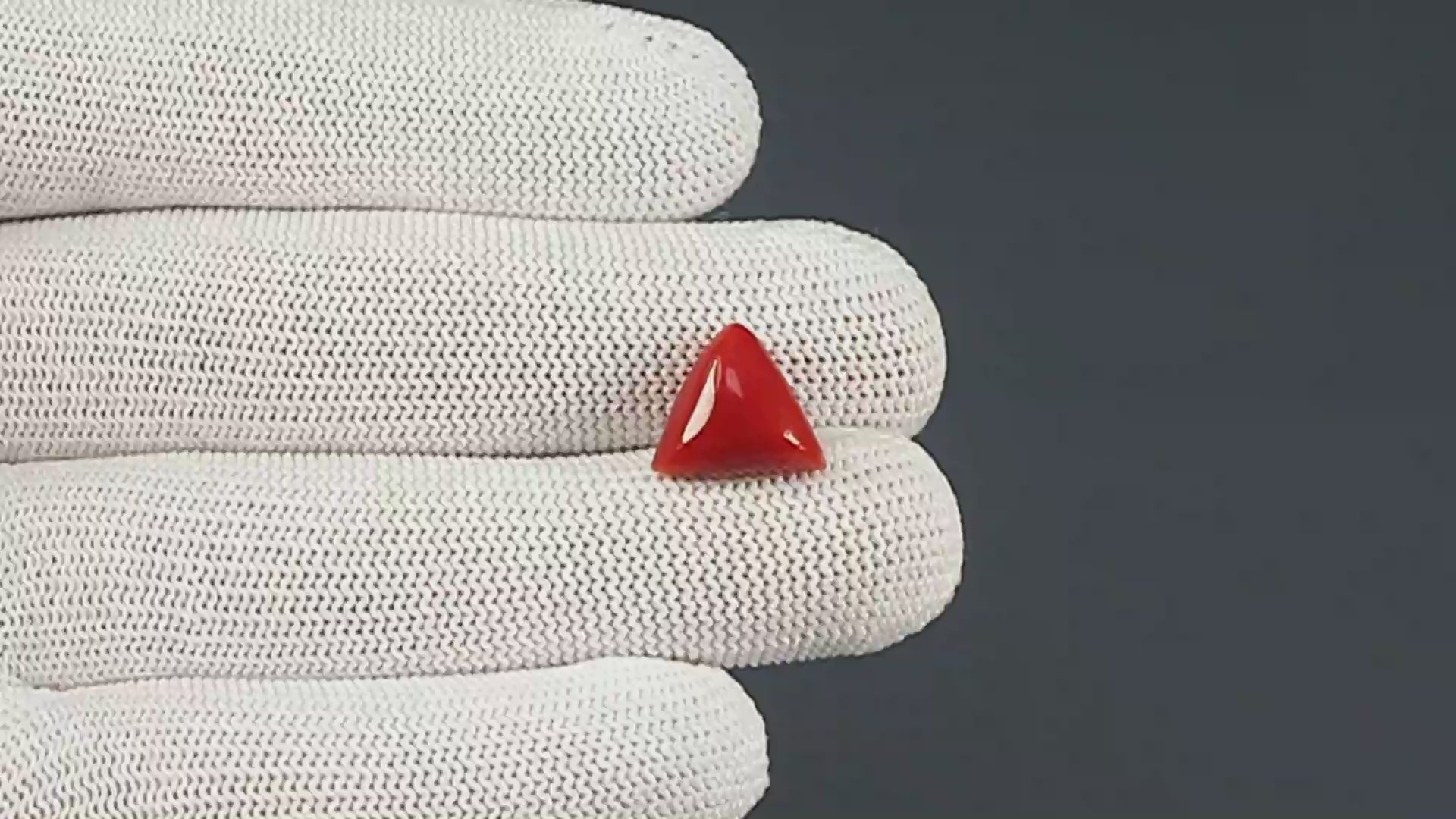 Natural Italian Red Coral (Moonga) 7.78 Carats
