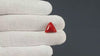 Natural Italian Red Coral (Moonga) 7.78 Carats