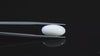 Natural Australian  White Coral 6.09 Carats